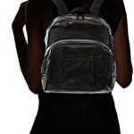 AmazonBasics-Clear-Bags-for-School-and-Sporting-Events-0-3